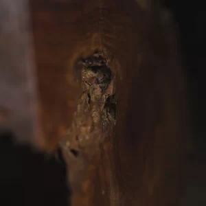 Grain and Iron